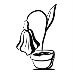 Lineart Snowdrop on Pot Vector Illustration Minimalist Lineart Style