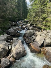 waterfall in the mountains Mountain river flowing through rocks and forest in a scenic alpine valley.