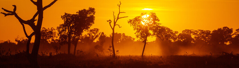 Obraz premium Rural landscapes in Brazil
