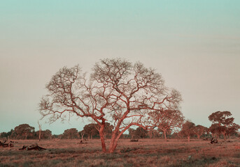 Rural landscapes in Brazil