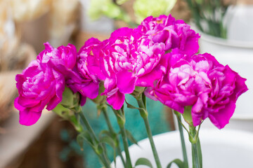 Beautiful carnation in flower market Chiang Mai, Thailand