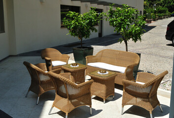 Outdoor Woven Seating and Table on Sunny Patio  with Ornamental Trees