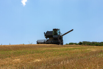 Fototapeta premium Front view of a combine harvester working on a harvested, dry wheat field under a clear blue sky in rural farmland.