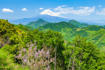葛城山から眺める富士山　静岡県伊豆の国市にて