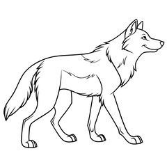Wolf Animal Line Drawing Illustration