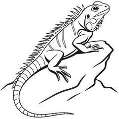 Iguana Sitting on Rock Line Drawing