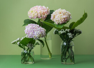 Trio of hydrangeas with green background – great for home decor, floristry, or greeting card themes