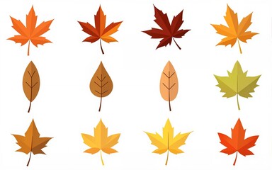 Fototapeta premium Collection of geometrical autumn leaves. Colorful botanical icons set. High quality