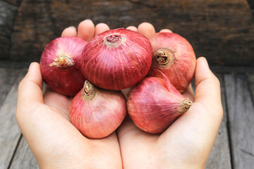 red onion on wooden table background