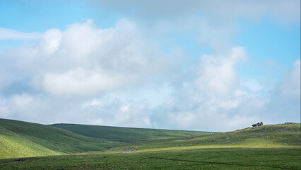 beautiful landscape of dartmoor hills in englands county devon