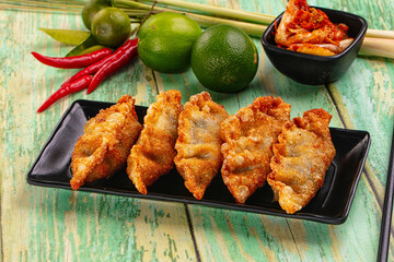 Asian fried stuffed dumplings gyoza