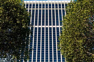 A modern glass skyscraper, its dark-tinted windows forming a grid-like pattern, is partially framed...