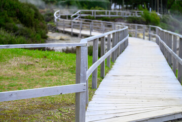 A winding wooden boardwalk creating a path through a green park or garden journey concept