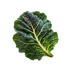 Single Fresh Green Chard Leaf Isolated on Black Background