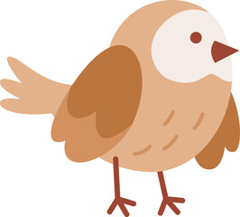 Chubby Bird Standing On White Background