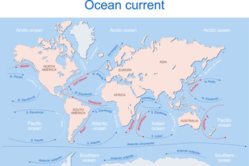 Ocean currents. Gulf Stream and thermohaline circulation. Vector map.