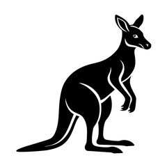 kangaroo vector illustration