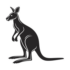 kangaroo vector illustration