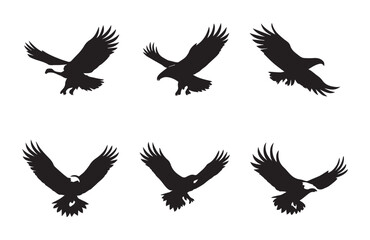 Six black eagle silhouettes in flight on white background bird