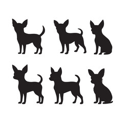 Six black chihuahua dog silhouettes standing and sitting white background