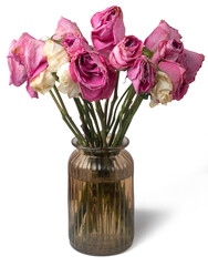 wilted bouquet of roses in a vase isolated