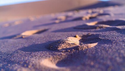 L'impronta del tempo nel deserto della memoria dove le tracce si cancellano mentre altre resistono all'erosione delle onde e del vento sulla sabbia