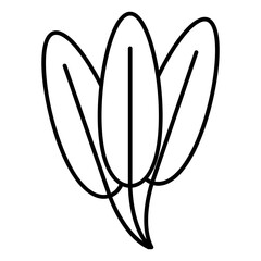 Foliage icon