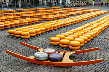 traditional cheese market in Alkmaar, Netherlands
