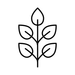 Foliage icon