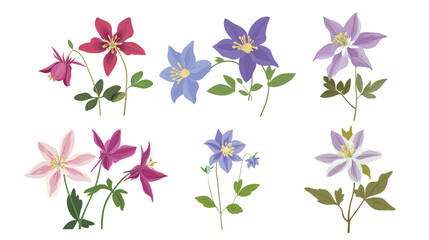 Aquilegia flower isolated on white background with delicate petals and intricate details, showcasing the unique shape and vibrant colors of this beautiful bloom, perfect for botanical illustrations, 