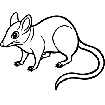 black and white cartoon rat clip art preview