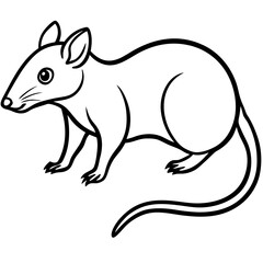 Fototapeta premium Tree shrew line art vector