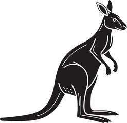 kangaroo vector illustration