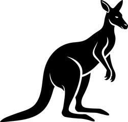 kangaroo vector illustration