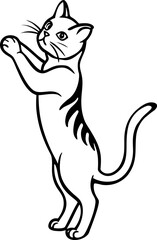 vector illustration of a cat