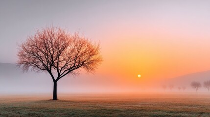 Serene Sunrise Over a Misty Field with a Lonely Tree and Soft Golden Light