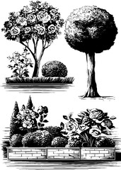 Fototapeta premium Engraved botanical illustration set featuring flower bed layouts and trees for garden planning