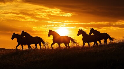 Dramatic herd of horses silhouetted against a vibrant sunset horizon