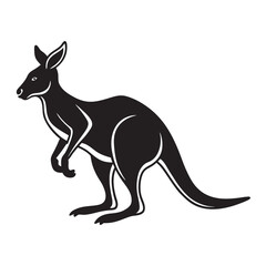 kangaroo vector illustration