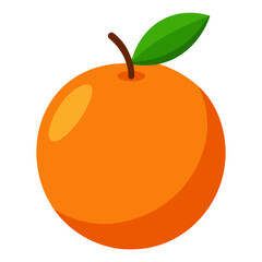 vector illustration of an orange