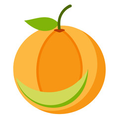 vector illustration of orange fruit