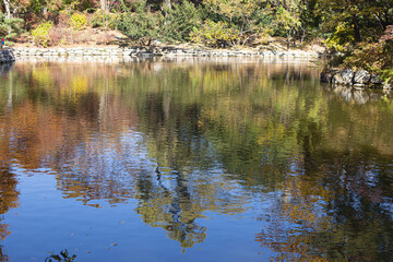 A calm pond reflects autumn trees under a bright blue sky.