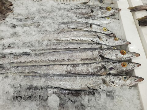 Fresh Largehead hairtail (Trichiurus lepturus) at fish market