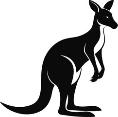 kangaroo vector illustration