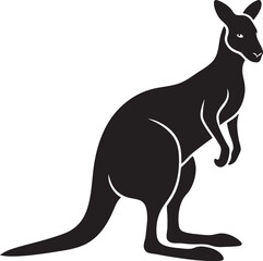 kangaroo vector illustration
