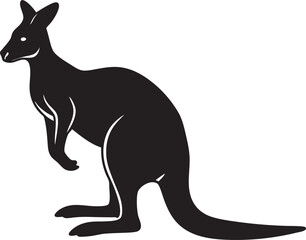 kangaroo vector illustration