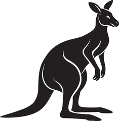kangaroo vector illustration