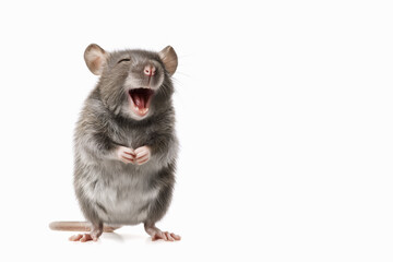 Photorealistic Mouse Laughing Upright on White Background
