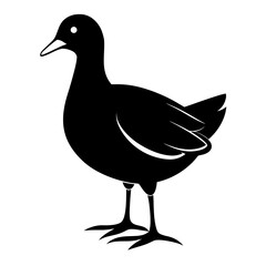 Moorhen vector clean black silhouette design white background