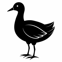 Moorhen vector clean black silhouette design white background